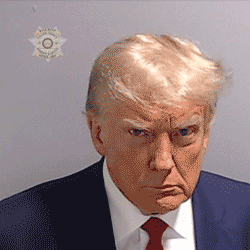 Trump mugshot with jail bars