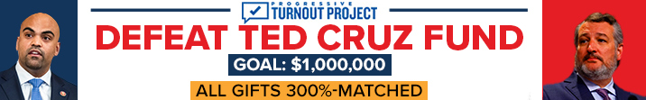 DEFEAT TED CRUZ FUND