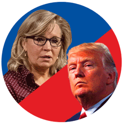 Liz Cheney Donald Trump