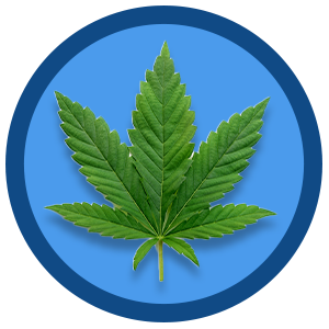 Marijuana Leaf